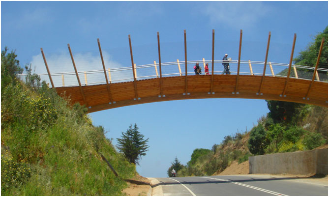 Puentes de madera – Wood